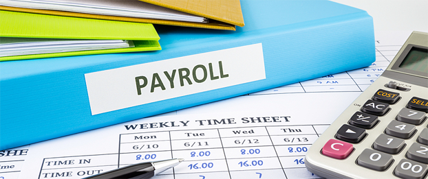 Tax Payroll Consultancy Services