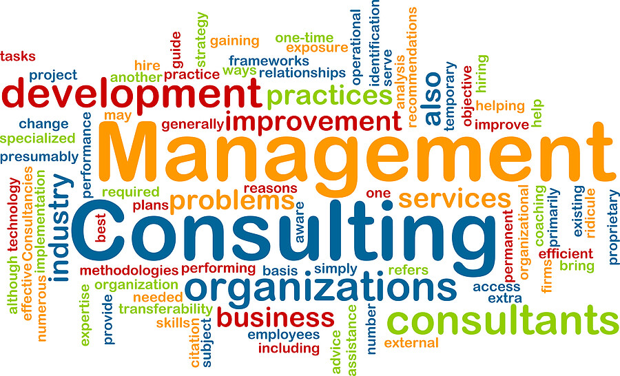 business management consultants